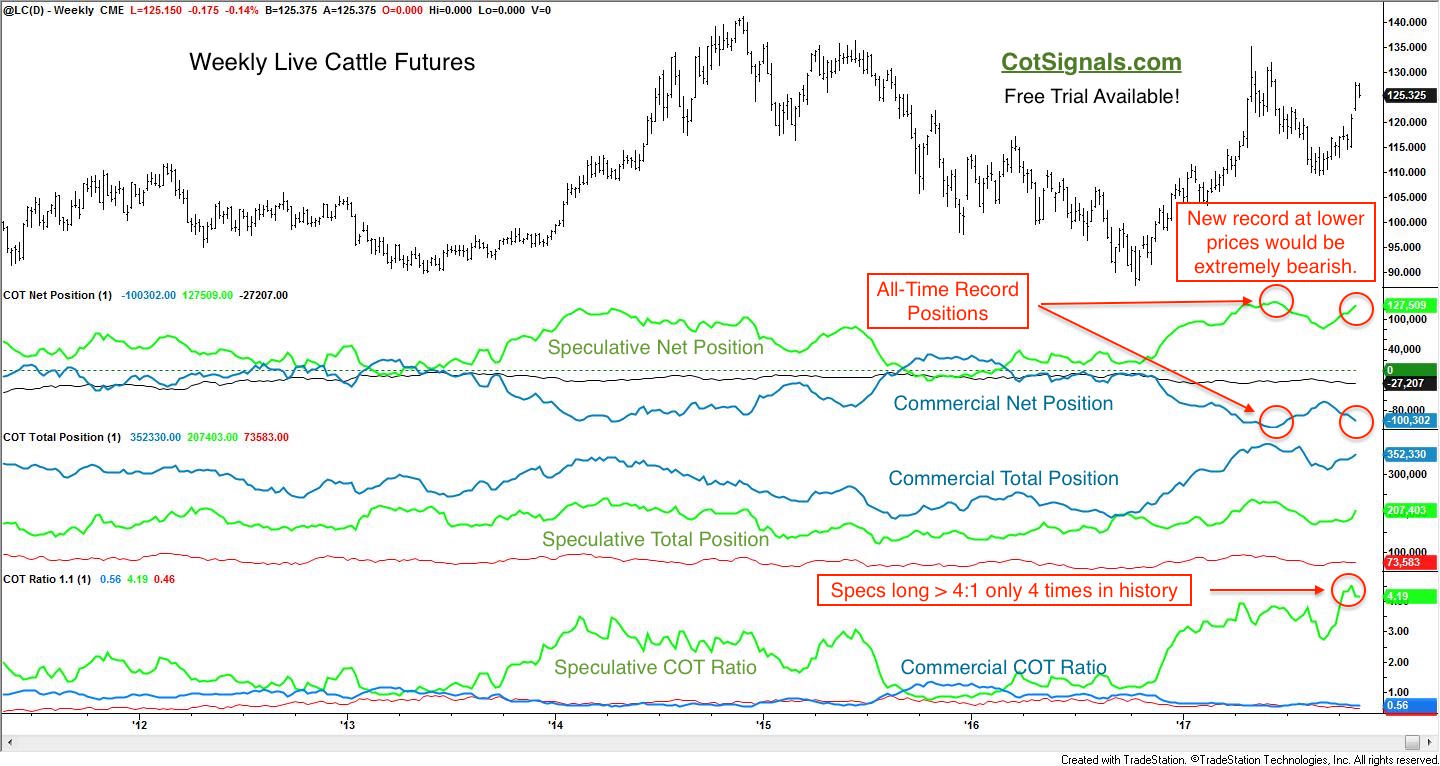 Weekly live cattle futures with Commitments of Trader data puts the speculators' wild bullishness in context.