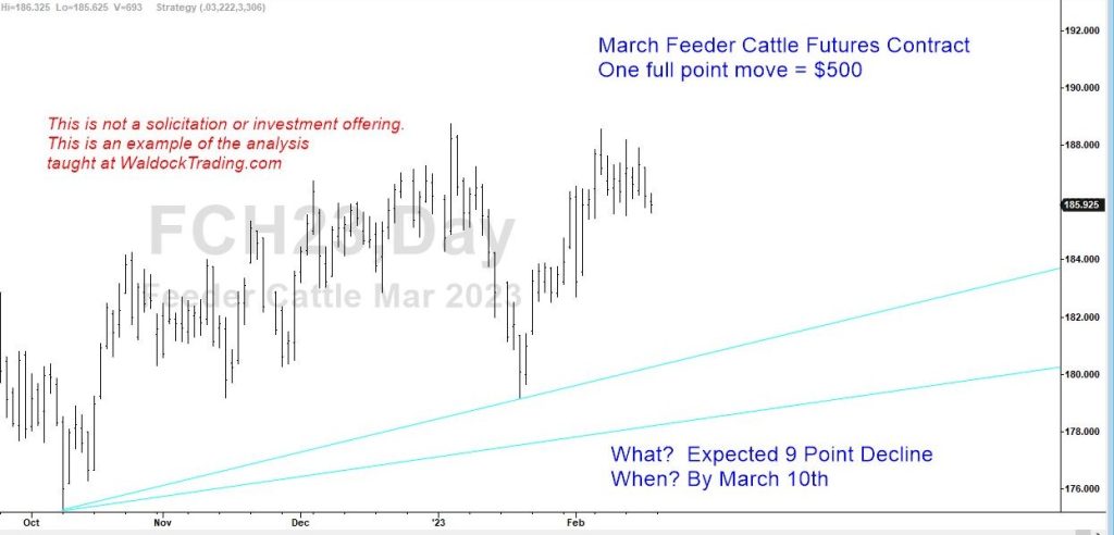 March feeder 2023 cattle price forecast.